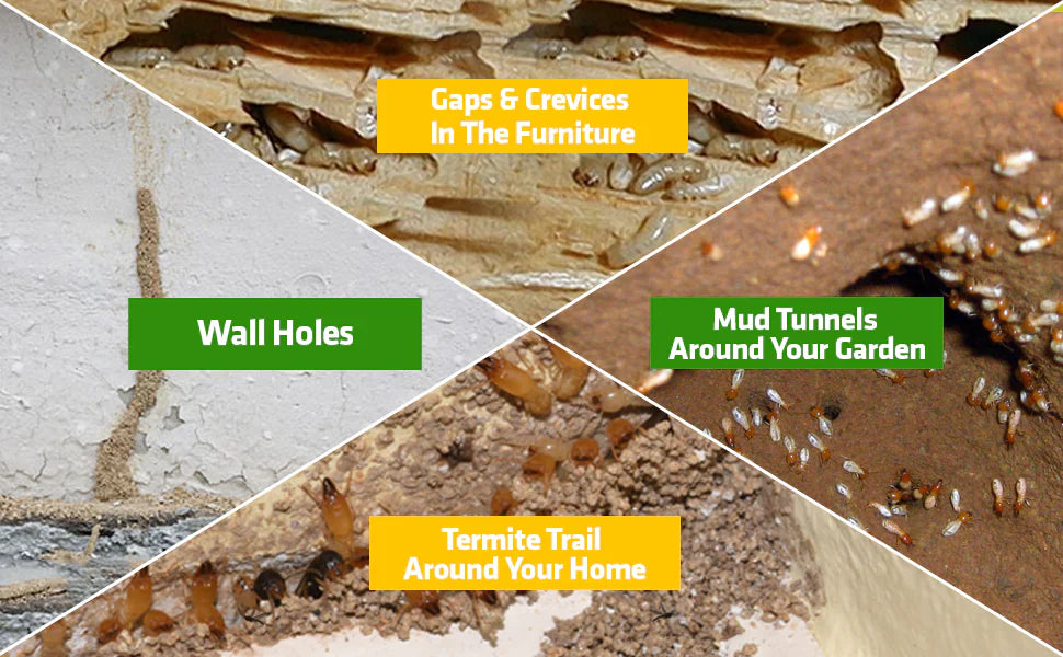 Termite Killer Spray - Effective Pest solution for your home (Buy 1 Get 2 Free!)